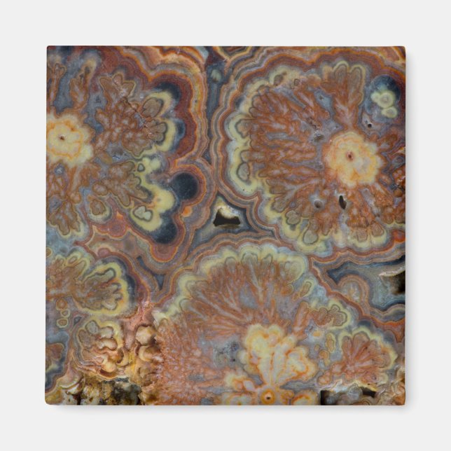 Aimant Tube de floraison Onyx (Devant)