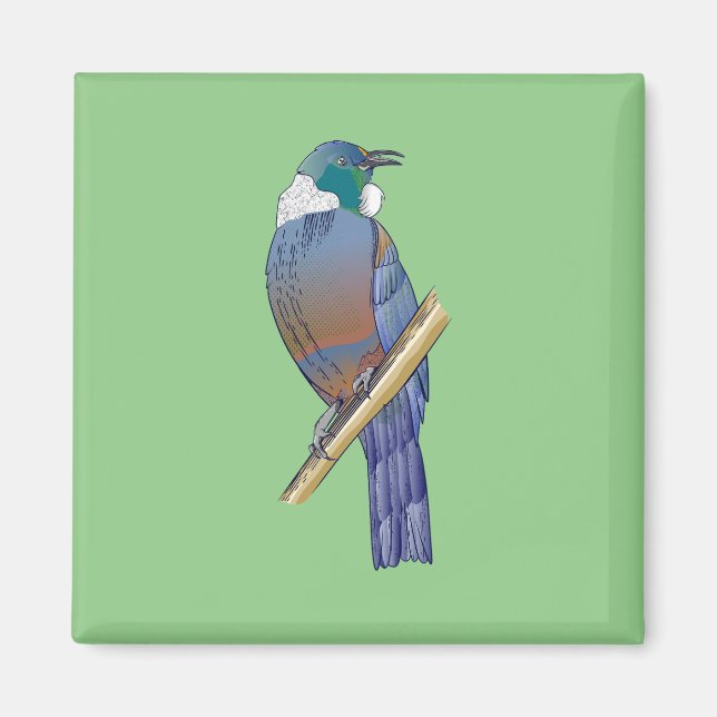 Aimant Tui New Zealand Bird (Devant)