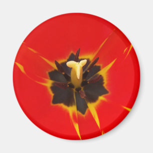 Aimant tulipe jaune rouge