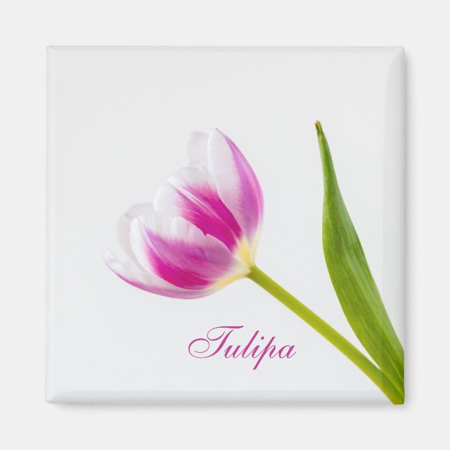 Aimant Tulipe rose (Devant)
