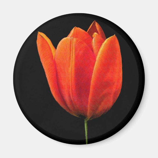 Aimant TulipeOrange (Devant)