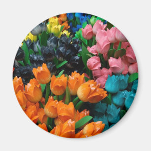 Aimant Tulipes d'Amsterdam