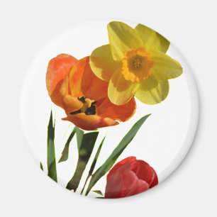 Aimant Tulipes rouges et fleurs de jonquilles jaunes