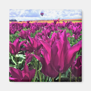 Aimant Tulips de Purple