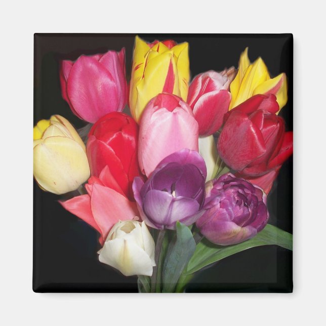 Aimant Tulips dit tout (Devant)