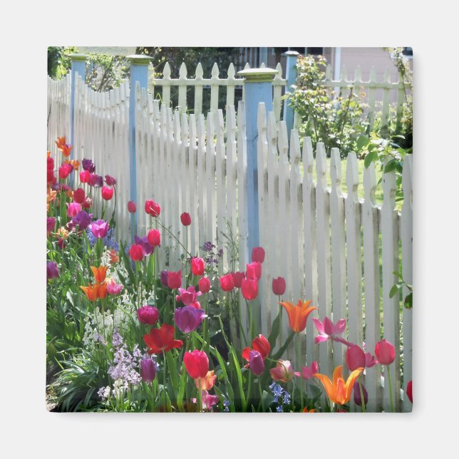 Aimant Tulips jardin blanc palissandre carré magnétique (Devant)