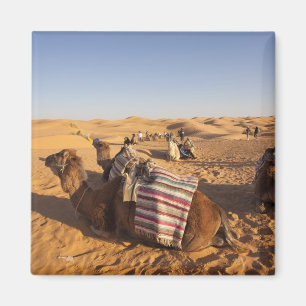 Aimant Tunisie, Ksour Area, Ksar Ghilane, Grand Erg 3