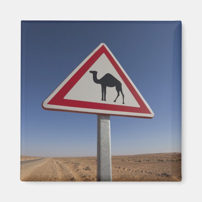 Aimant Tunisie, Ksour Area, Ksar Ghilane, Grand Erg 6 (Devant)