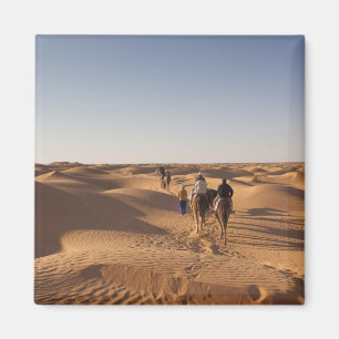 Aimant Tunisie, région des Ksour, Ksar Ghilane, Grand Erg