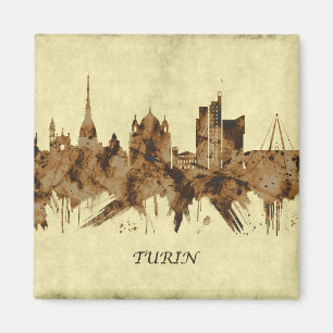 Aimant Turin Italie Cityscape
