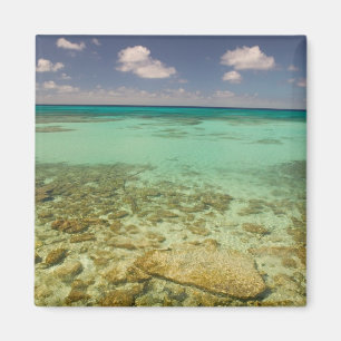 Aimant Turks and Caicos, Grand Turk Island, Cockburn 2
