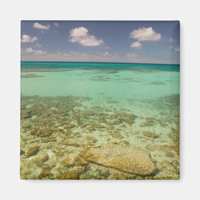 Aimant Turks and Caicos, Grand Turk Island, Cockburn 2 (Devant)