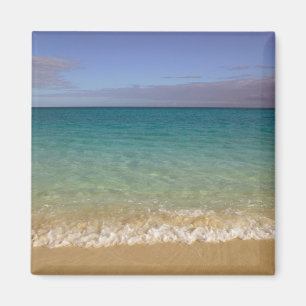 Aimant Turks and Caicos, île Providenciales, Grace 2