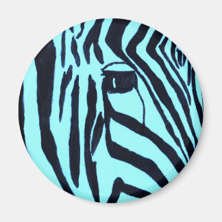 Aimant Turquoise Zebra