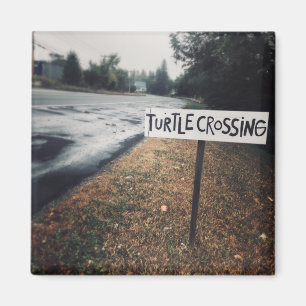 Aimant turtle crossing
