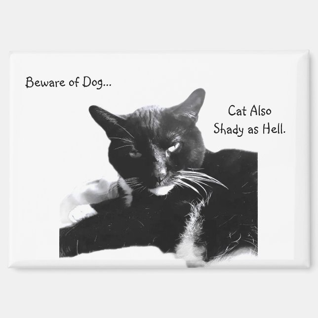 Aimant Tuxedo Cat with Shady Smile  (Recto)