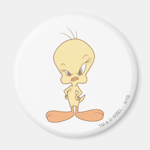 Aimant Tweety
