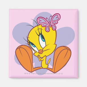 Aimant Tweety et papillon