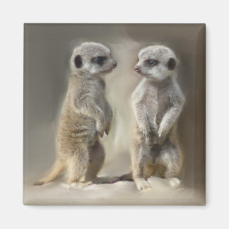 Aimant Twin bébé Meerkats