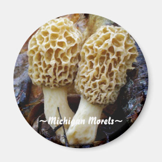 Aimant Twin Yellow Morels, ~Michigan Morels~