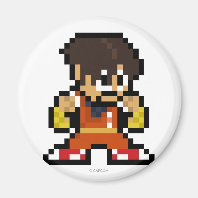 Aimant Type 8 bits (Devant)