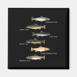 Aimant Types De Truites - Collection Espèces de poissons