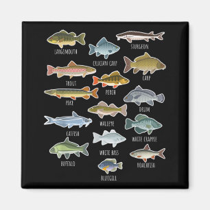 Aimant Types D'Espèces De Poissons D'Eau Douce Pêche