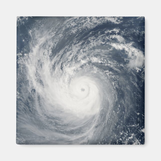 Aimant Typhon Taim (Devant)