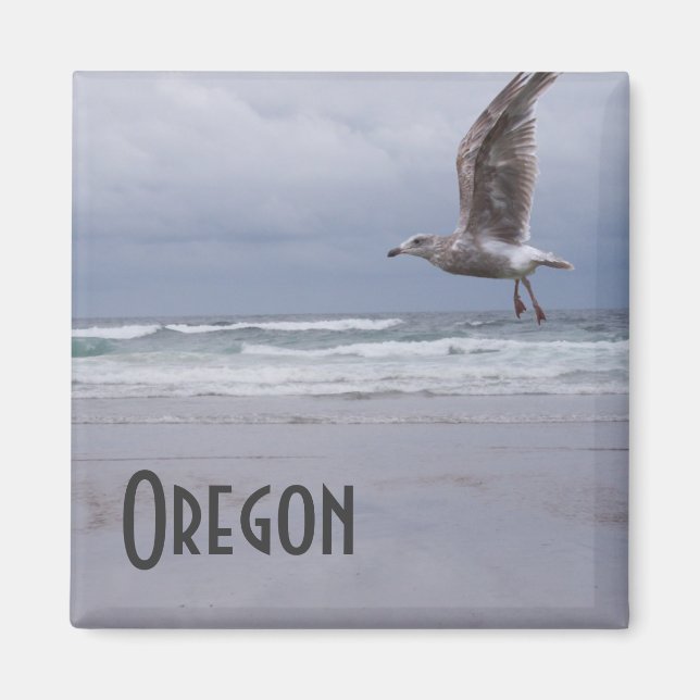 Aimant Tzigane de mer (Devant)