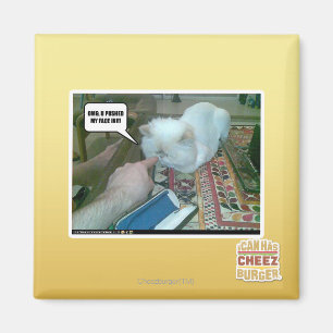 Aimant U a poussé mon visage dedans !