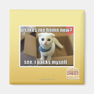 Aimant U me prennent à la maison maintenant ?