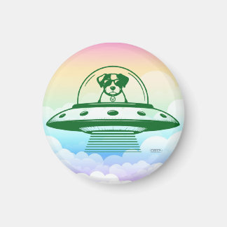 AIMANT UFO PETS