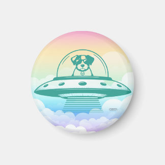 AIMANT UFO PETS