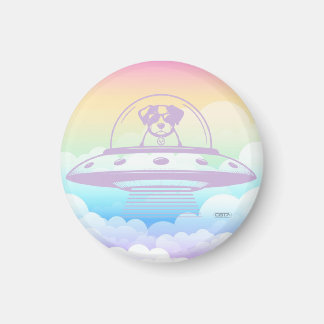 AIMANT UFO PETS