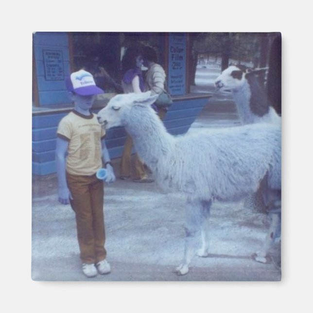 Aimant 'Um Biting Llama "Hues" (Devant)