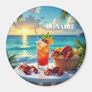 Aimant Un après-midi à bonaire