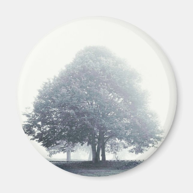 Aimant Un arbre dans le brouillard (Devant)