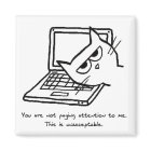 Un Chat En Colère Demande De L'Attention - Drôle A