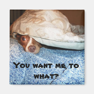 Aimant Un chien nommé Mia