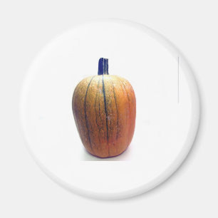 Aimant Un Citrouille orange