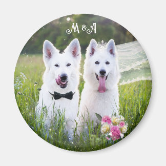 Aimant Un couple romantique de chiens qui se marient