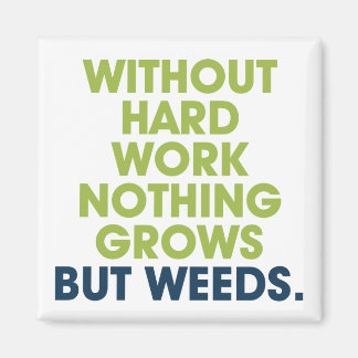 Aimant Un devis sur l'aimant