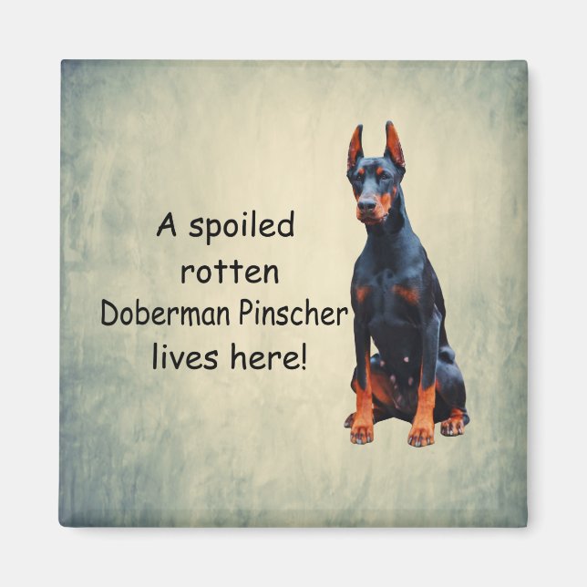 Aimant Un Doberman Pinscher Tourné Vit Ici (Devant)