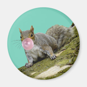 Aimant Un écureuil souffle une bulle photo d'un animal