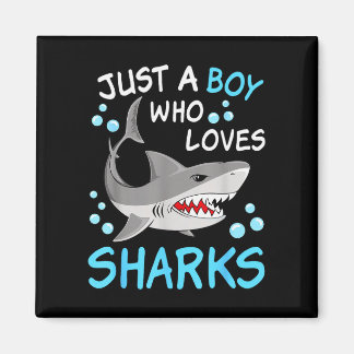 Aimant Un garçon qui aime les requins drôle animal de l'o
