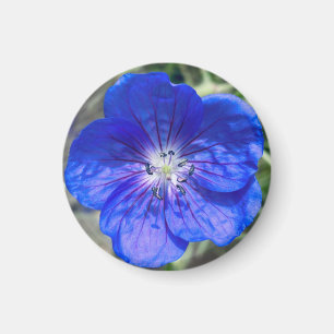 Aimant Un indice d'aimant "Floral bleu" Z