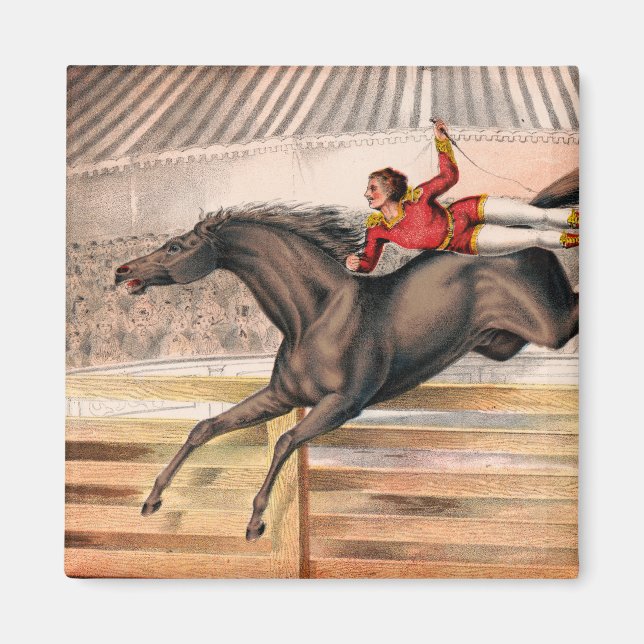 Aimant Un Interprète De Cirque À Cheval De Voûte (Devant)