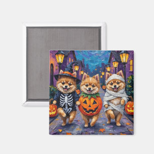 Aimant Un Pomeranian faisant Trick-or-Treating dans des c