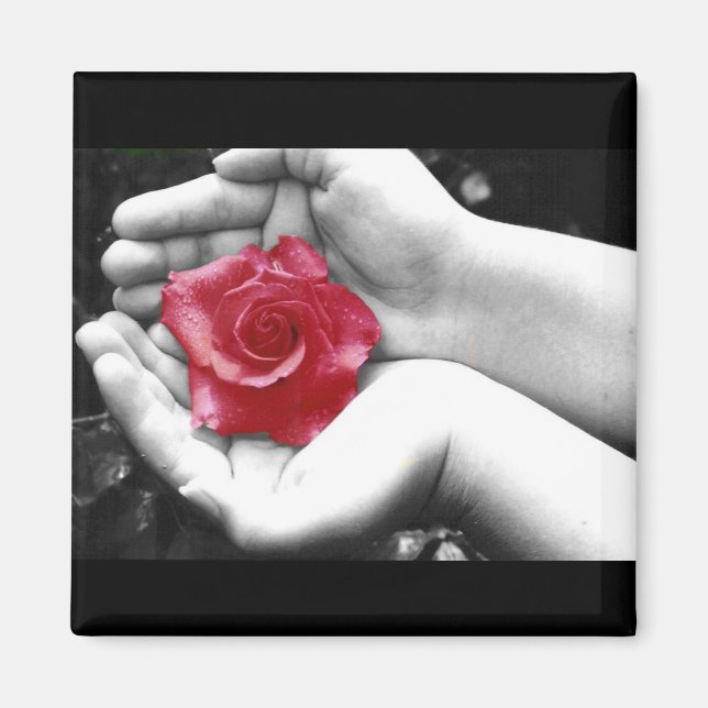 Aimant Un Rose à la main 2 (Devant)