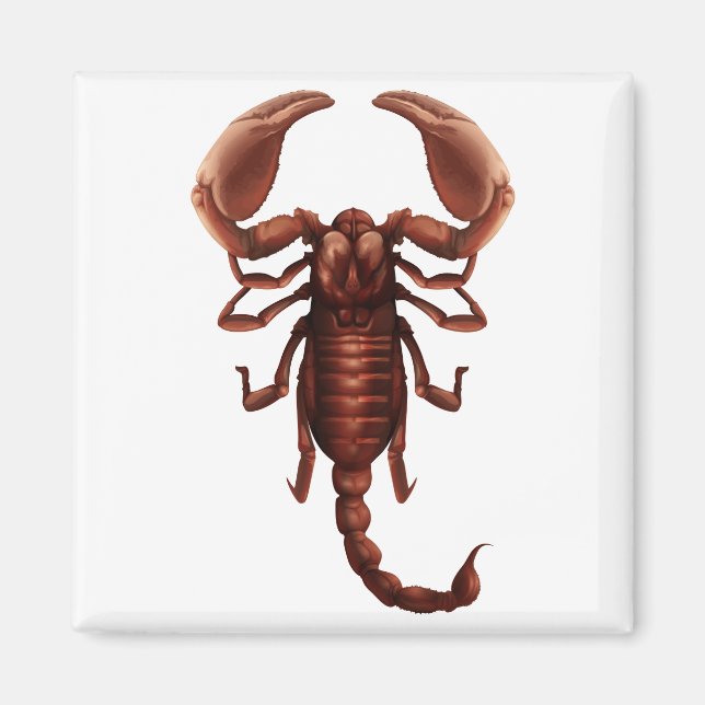 Aimant Un scorpion (Devant)